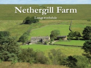 Nethergill Farm
Langstrothdale

 