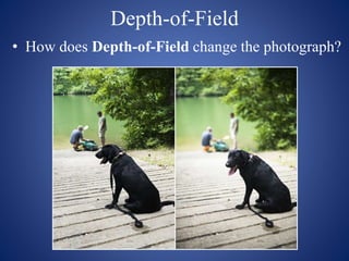 Depth-of-Field
• How does Depth-of-Field change the photograph?
 