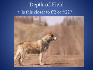 Depth-of-Field
• Is this closer to f/2 or f/22?
 