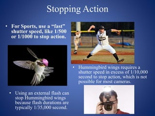 Stopping Action
• For Sports, use a “fast”
shutter speed, like 1/500
or 1/1000 to stop action.
• Hummingbird wings requires a
shutter speed in excess of 1/10,000
second to stop action, which is not
possible for most cameras.
• Using an external flash can
stop Hummingbird wings
because flash durations are
typically 1/35,000 second.
 