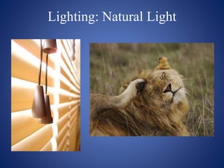 Lighting: Natural Light
 