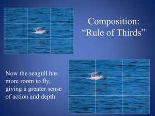 Composition:
“Rule of Thirds”
Now the seagull has
more room to fly,
giving a greater sense
of action and depth.
 
