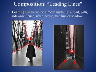 Composition: “Leading Lines”
• Leading Lines can be almost anything: a road, path,
sidewalk, fence, river, hedge, tree line or shadow.
 