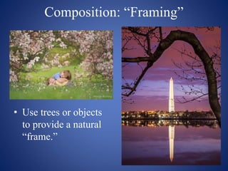 Composition: “Framing”
• Use trees or objects
to provide a natural
“frame.”
 