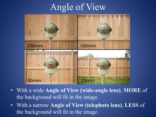 Angle of View
• With a wide Angle of View (wide-angle lens), MORE of
the background will fit in the image.
• With a narrow Angle of View (telephoto lens), LESS of
the background will fit in the image.
 