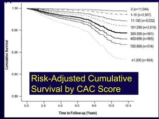 Risk-Adjusted Cumulative
Survival by CAC Score
 