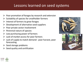 Achieving a “forage revolution” through improved varieties and seed systems