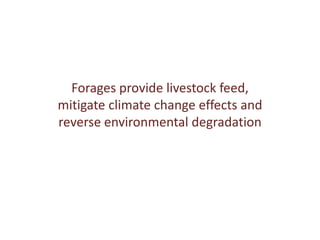 Achieving a “forage revolution” through improved varieties and seed systems