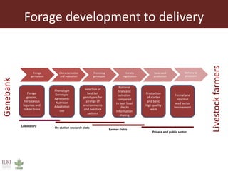 Achieving a “forage revolution” through improved varieties and seed systems