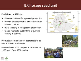 Achieving a “forage revolution” through improved varieties and seed systems