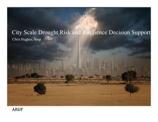 City Scale Drought Risk and Resilience Decision Support
Chris Hughes, Arup
 