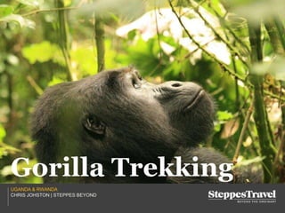 UGANDA & RWANDA
CHRIS JOHSTON | STEPPES BEYOND
Gorilla Trekking
 