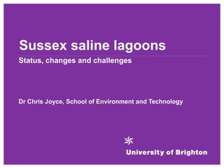 Sussex saline lagoons
Status, changes and challenges




Dr Chris Joyce, School of Environment and Technology
 