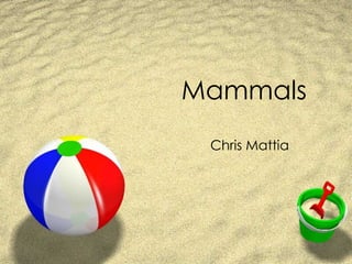 Mammals Chris Mattia  