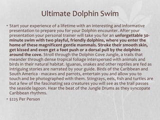 Ultimate Dolphin Swim
• Start your experience of a lifetime with an interesting and informative
presentation to prepare you for your Dolphin encounter. After your
presentation your personal trainer will take you for an unforgettable 30minute swim with two playful, friendly dolphins, where you enter the
home of these magnificent gentle mammals. Stroke their smooth skin,
get kissed and even get a foot push or a dorsal pull by the dolphins
around the cove. Stroll through the Dolphin Cove Jungle, a trails that
meander through dense tropical foliage interspersed with animals and
birds in their natural habitat. Iguanas, snakes and other reptiles are fed as
intriguing stories are narrated by your guide. Birds of the Caribbean and
South America - macaws and parrots, entertain you and allow you to
touch and be photographed with them. Stingrays, eels, fish and turtles are
but a few of the fascinating sea creatures you will see as the trail passes
the seaside lagoon. Hear the beat of the Jungle Drums as they syncopate
Caribbean rhythms.
• $225 Per Person

 