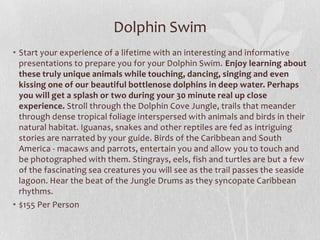 Dolphin Swim
• Start your experience of a lifetime with an interesting and informative
presentations to prepare you for your Dolphin Swim. Enjoy learning about
these truly unique animals while touching, dancing, singing and even
kissing one of our beautiful bottlenose dolphins in deep water. Perhaps
you will get a splash or two during your 30 minute real up close
experience. Stroll through the Dolphin Cove Jungle, trails that meander
through dense tropical foliage interspersed with animals and birds in their
natural habitat. Iguanas, snakes and other reptiles are fed as intriguing
stories are narrated by your guide. Birds of the Caribbean and South
America - macaws and parrots, entertain you and allow you to touch and
be photographed with them. Stingrays, eels, fish and turtles are but a few
of the fascinating sea creatures you will see as the trail passes the seaside
lagoon. Hear the beat of the Jungle Drums as they syncopate Caribbean
rhythms.
• $155 Per Person

 
