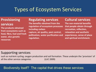 Ecosystem Services & Social Science | PPT