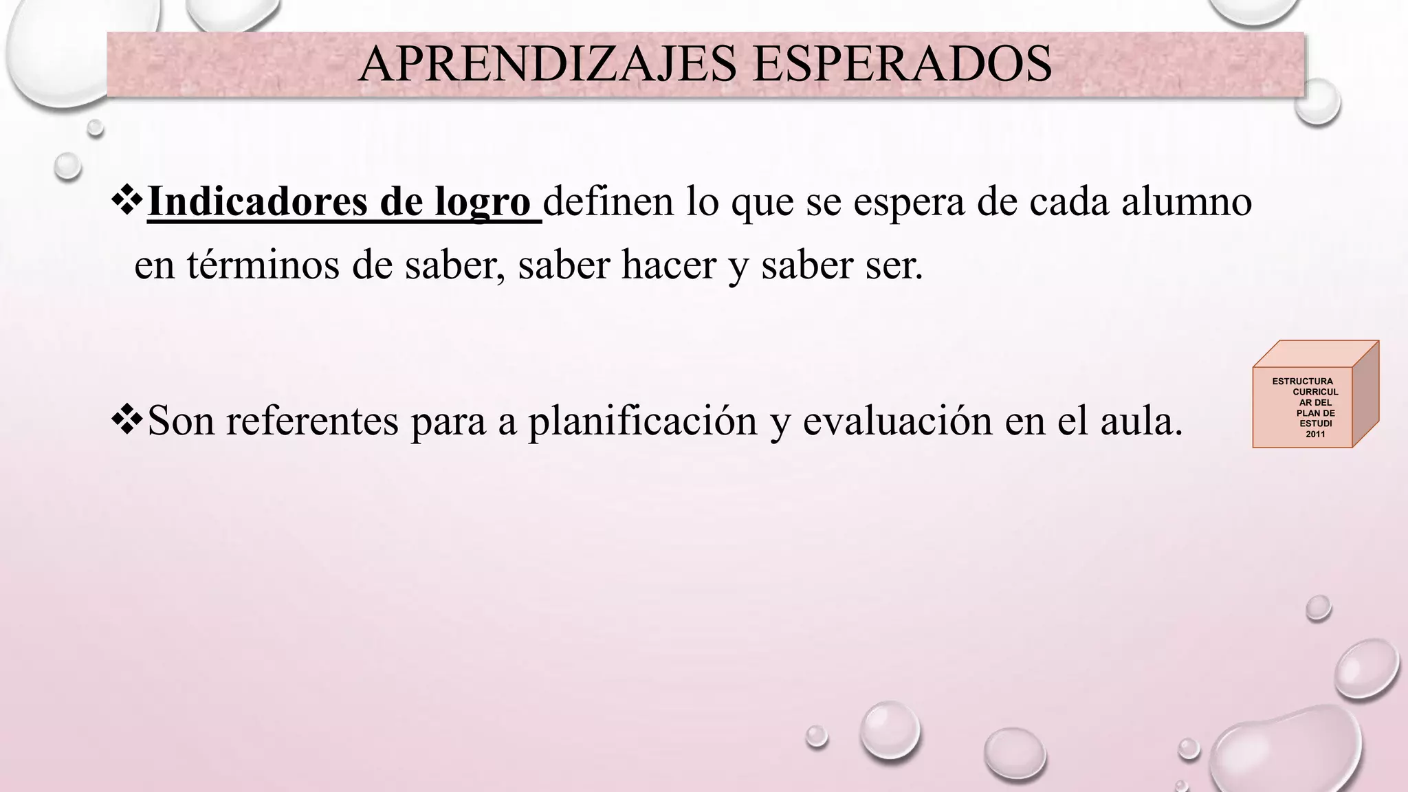 Historia y estructura de la RIEB | PPT