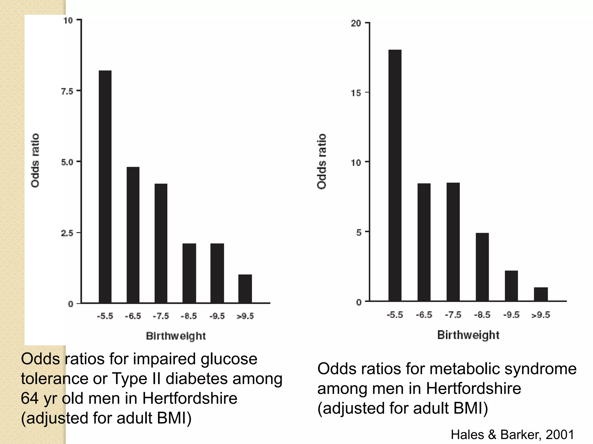 Odds ratios for impaired glucose
tolerance or Type II diabetes among
64 yr old men in Hertfordshire
(adjusted for adult BMI)
Odds ratios for metabolic syndrome
among men in Hertfordshire
(adjusted for adult BMI)
Hales & Barker, 2001
 
