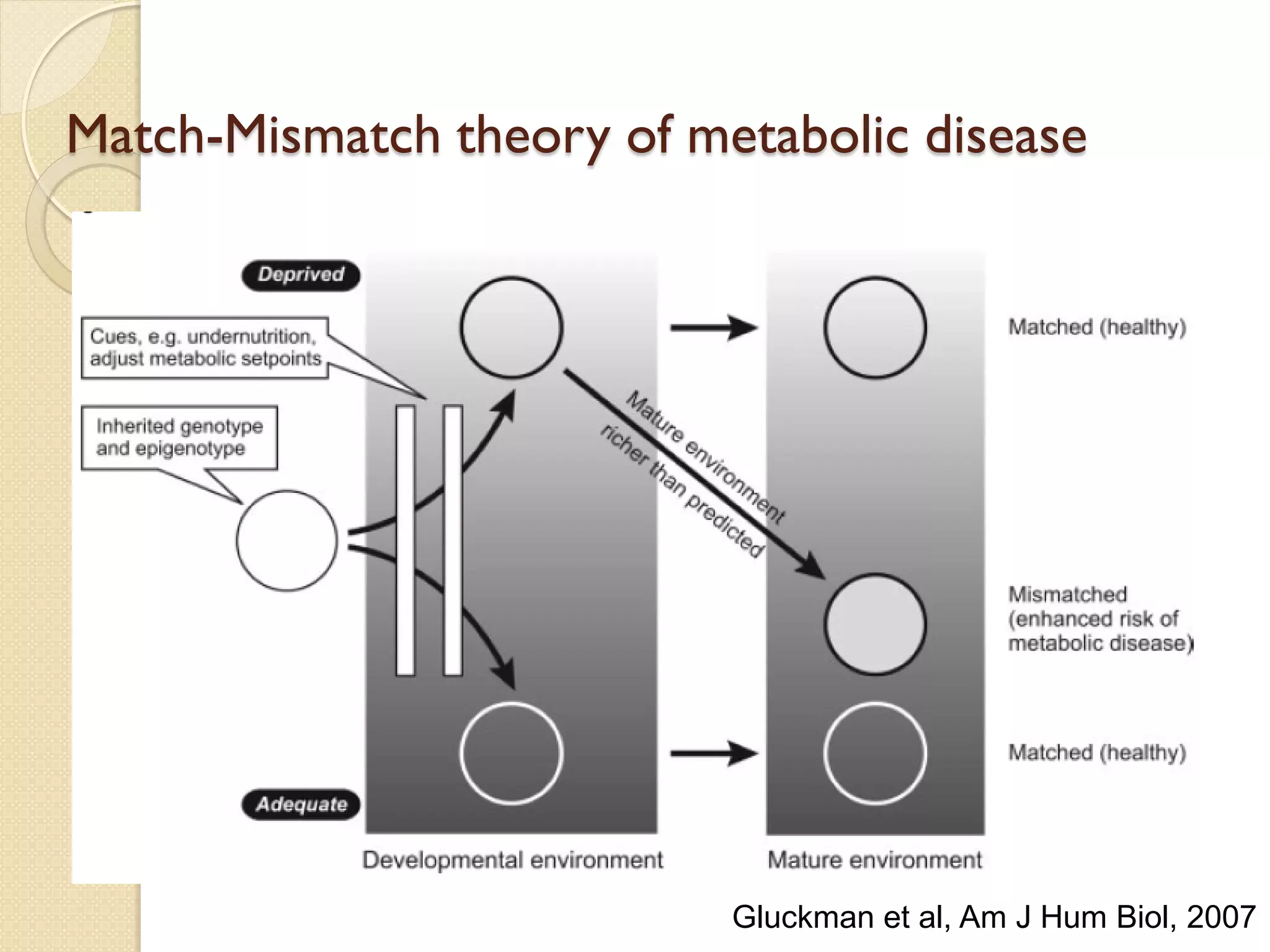 Match-Mismatch theory of metabolic disease
Gluckman et al, Am J Hum Biol, 2007
 