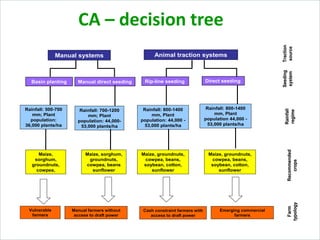 CA – decision tree
Manual systems Animal traction systems
Manual direct seeding Rip-line seeding Direct seeding
Maize,
sor...