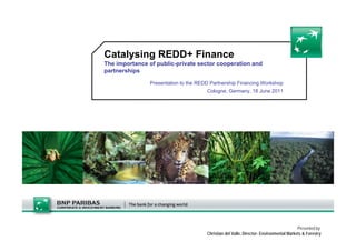 Catalysing REDD+ Finance
The importance o public-private sector coope at o a d
  e po ta ce of pub c p ate secto cooperation and
partnerships

               Presentation to the REDD Partnership Financing Workshop
                                      Cologne, Germany, 18 June 2011




                                                                                        Presented by:
                                      Christian del Valle, Director- Environmental Markets & Forestry
 