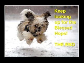 Keep
looking
up for the
Blessed
Hope!
THE END
 