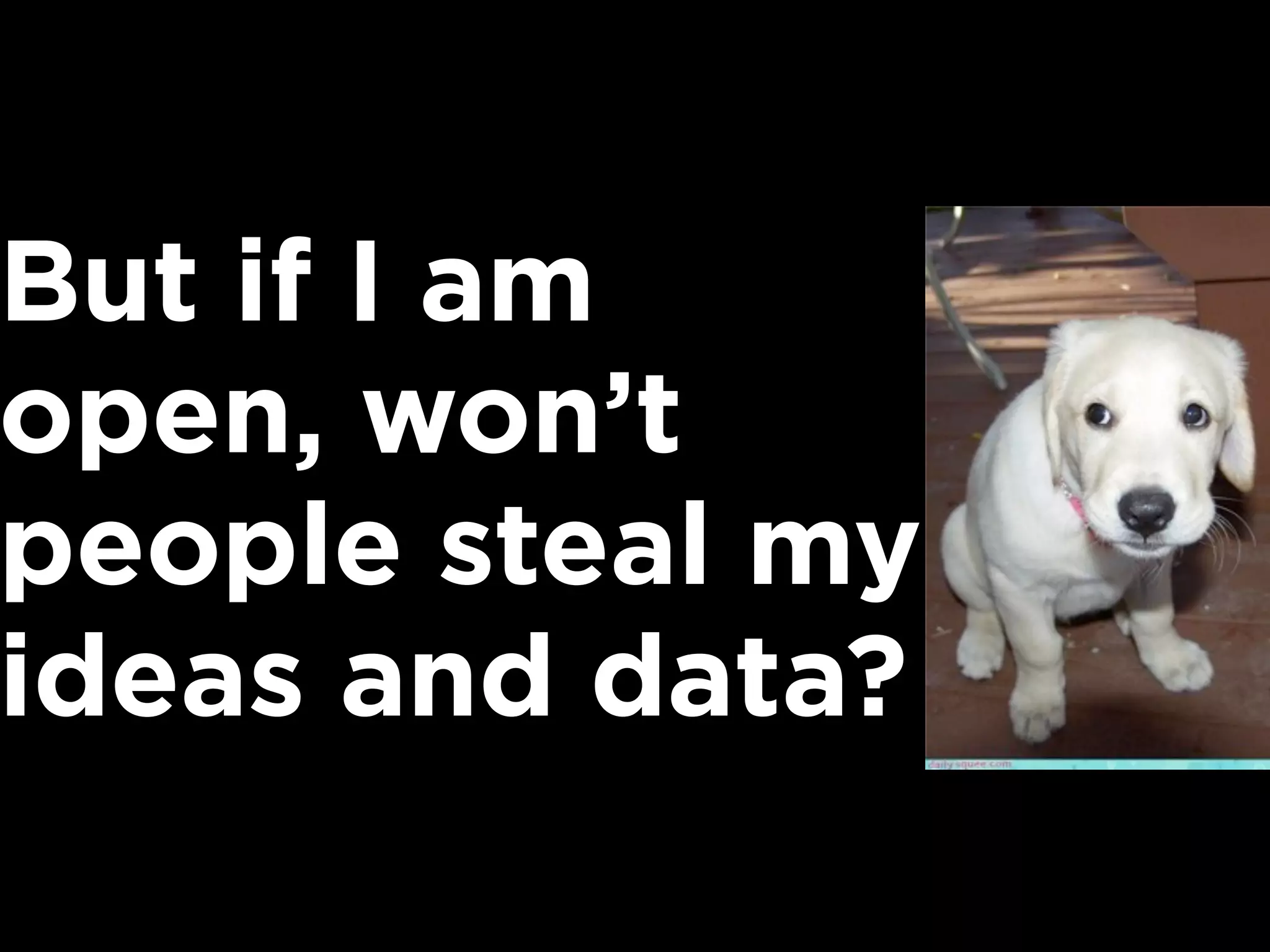 But if I am
open, won’t
people steal my
ideas and data?
 