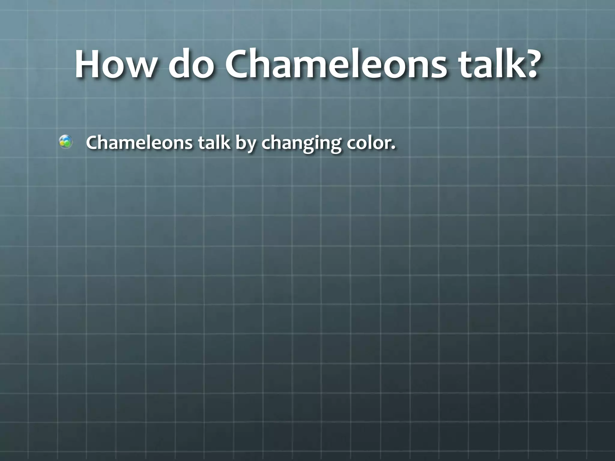 How do Chameleons talk?
Chameleons talk by changing color.