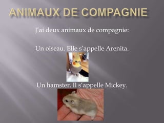 J’ai deux animaux de compagnie:
Un oiseau. Elle s’appelle Arenita.
Un hamster. Il s’appelle Mickey.
 