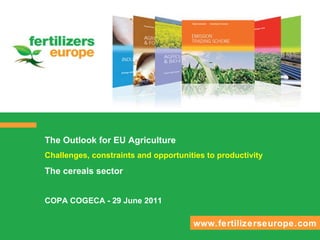 The Outlook for EU Agriculture Challenges, constraints and opportunities to productivity The cereals sector  COPA COGECA - 29 June 2011 