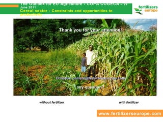The Outlook for EU Agriculture - COPA COGECA  –  29 June 2011 Cereal sector -  Constraints and opportunities to productivi...