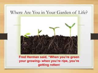 Where Are You in Your Garden of Life?
Fred Herman said, “When you’re green
your growing- when you’re ripe, you’re
getting rotten!
 