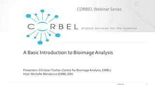 A Basic Introduction to Bioimage Analysis
Presenters: ChristianTischer (Centre for Bioimage Analysis, EMBL)
Host: Michelle Mendonca (EMBL-EBI)
11/04/2019 1
CORBELWebinar Series
 