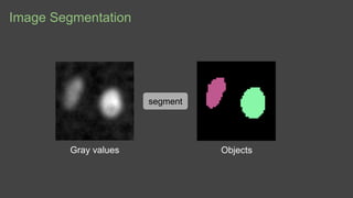 Image Segmentation
segment
Gray values Objects
 