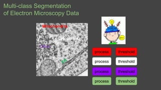 Multi-class Segmentation
of Electron Microscopy Data
process
Mitochondria
Other
Cytoplasm
process
process
process
threshol...