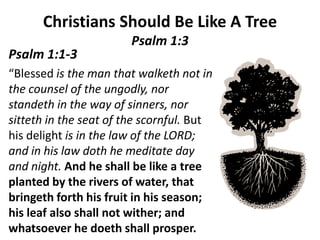 Christians Should Be Like A TreePsalm 1:3 Psalm 1:1-3 “Blessed is the man that walketh not in the counsel of the ungodly, nor standeth in the way of sinners, nor sitteth in the seat of the scornful. But his delight is in the law of the LORD; and in his law doth he meditate day and night. And he shall be like a tree planted by the rivers of water, that bringeth forth his fruit in his season; his leaf also shall not wither; and whatsoever he doeth shall prosper. 