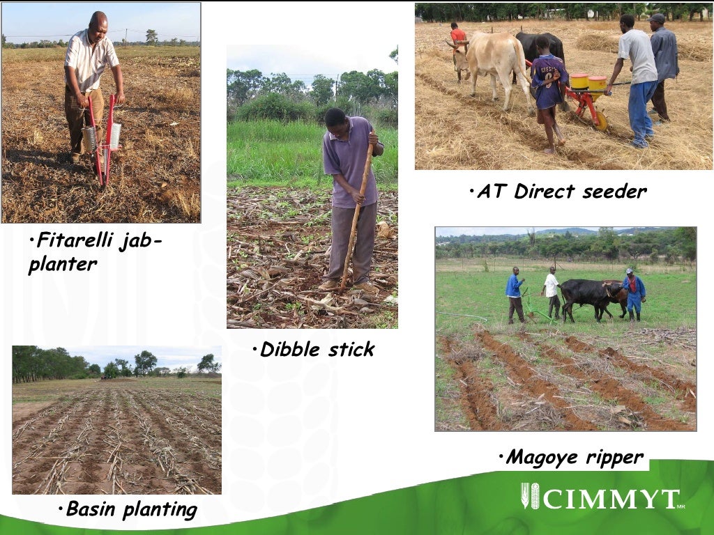 Conservation Agriculture (CA) in Southern Africa Longer term trends