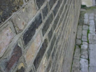 Christie reed  our community