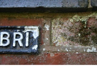 Christie reed  our community