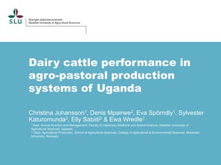 Dairy cattle performance in
agro-pastoral production
systems of Uganda
Christina Johansson1, Denis Mpairwe2, Eva Spörndly1, Sylvester
Katuromunda2, Elly Sabiiti2 & Ewa Wredle1
1 Dept. Animal Nutrition and Management, Faculty of Veterinary Medicine and Animal Science, Swedish University of
Agricultural Sciences, Uppsala,
2 Dept. Agricultural Production, School of Agricultural Sciences, College of Agricultural & Environmental Sciences, Makerere
University, Kampala,
 