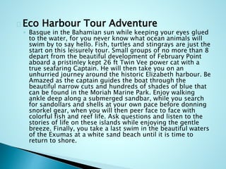 Eco Harbour Tour Adventure
◦ Basque in the Bahamian sun while keeping your eyes glued
to the water, for you never know what ocean animals will
swim by to say hello. Fish, turtles and stingrays are just the
start on this leisurely tour. Small groups of no more than 8
depart from the beautiful development of February Point
aboard a pristinley kept 26 ft Twin Vee power cat with a
true seafaring Captain. He will then take you on an
unhurried journey around the historic Elizabeth harbour. Be
Amazed as the captain guides the boat through the
beautiful narrow cuts and hundreds of shades of blue that
can be found in the Moriah Marine Park. Enjoy walking
ankle deep along a submerged sandbar, while you search
for sandollars and shells at your own pace before donning
snorkel gear, when you will then peer face to face with
colorful fish and reef life. Ask questions and listen to the
stories of life on these islands while enjoying the gentle
breeze. Finally, you take a last swim in the beautiful waters
of the Exumas at a white sand beach until it is time to
return to shore.
 