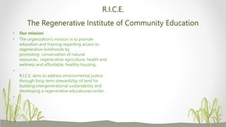 Toward Transformative Education Using an Ecowomanist Approach for ...