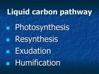 Liquid carbon pathway
 Photosynthesis
 Resynthesis
 Exudation
 Humification
 