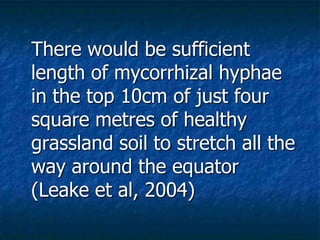 There would be sufficient
length of mycorrhizal hyphae
in the top 10cm of just four
square metres of healthy
grassland soil to stretch all the
way around the equator
(Leake et al, 2004)
 