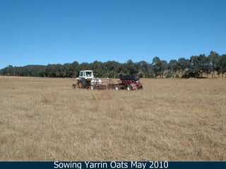 Sowing Yarrin Oats May 2010
 