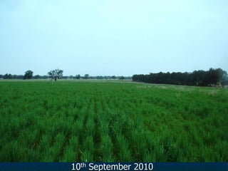 10th September 2010
 