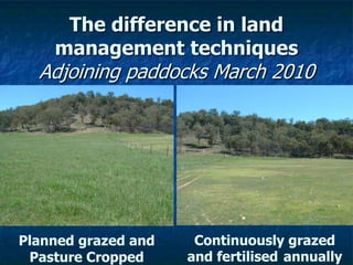 The difference in land
management techniques
Adjoining paddocks March 2010
Planned grazed and
Pasture Cropped
Continuously grazed
and fertilised annually
 