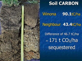 Soil CARBON
Winona 90.1tC/ha
Neighbour 43.4tC/ha
Difference of 46.7 tC/ha
= 171 t CO2/ha
sequestered
 