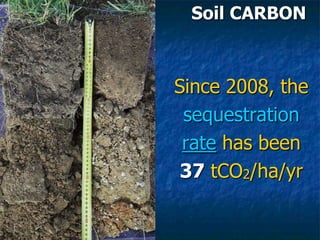 Soil CARBON
Since 2008, the
sequestration
rate has been
37 tCO2/ha/yr
 